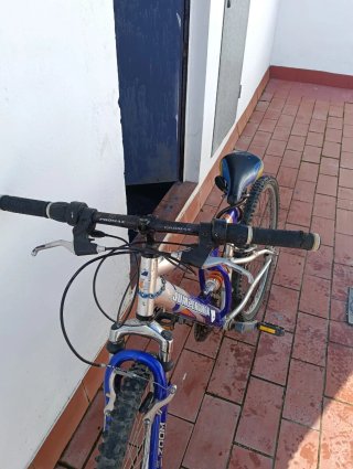 Bicicleta infantil azul