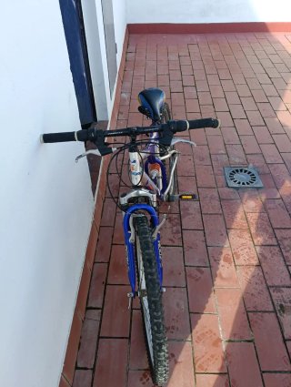 Bicicleta infantil azul