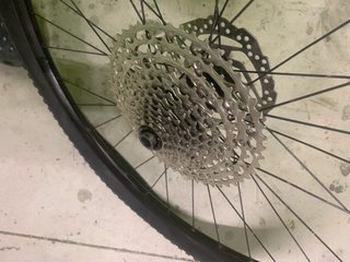 Focus JAM2 SL - Bicicleta Eléctrica Ligera- 500 km