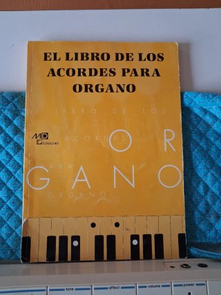 Órgano Casio MT-45 con funda y libro