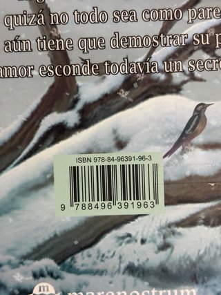 Libro Fairy Oak El poder de la luz