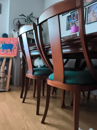 Mesa comedor extensible con 6 sillas