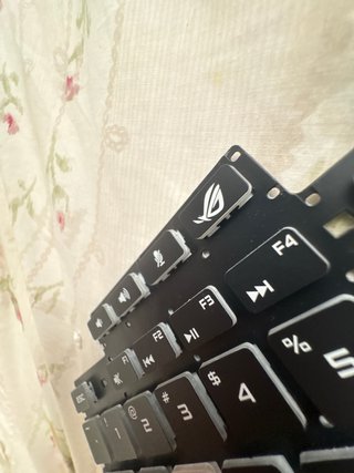 Teclado Gamer Negro y Multicolor