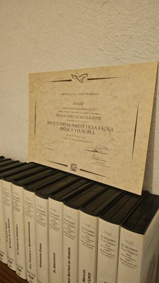 Colección VHS El Hombre y la Tierra