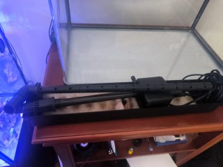 Nano Acuario 54L para marino o dulce