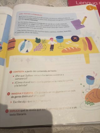 Lengua Castellana y Literatura, 4 Primaria, Moc...