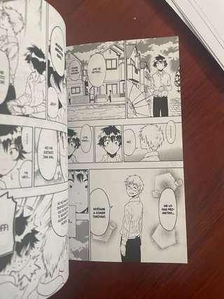 Nisekoi Manga 10