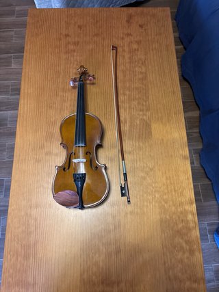 Violín Stentor 1/2 con funda y arco