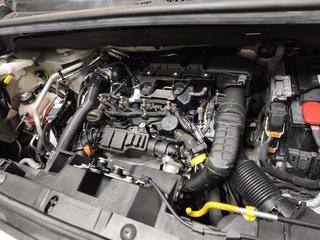 Citroen Berlingo 2020 POCOS KM