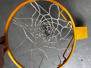 Canasta de baloncesto Salter