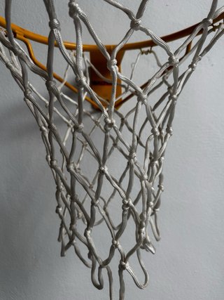 Canasta de baloncesto Salter