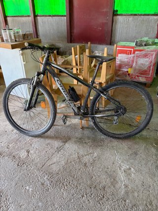 Bicicleta de Montaña Giant