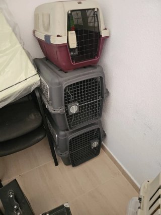 Trasportini per animali domestici Varie dimensioni