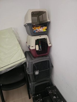 Trasportini per animali domestici Varie dimensioni