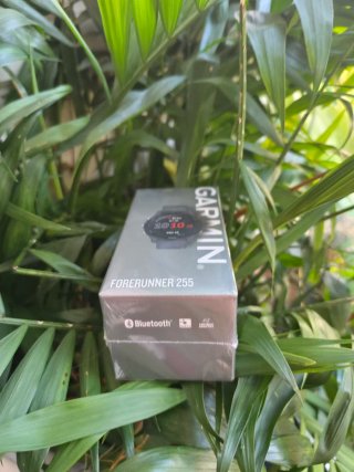 Garmin Forerunner 255 Gris