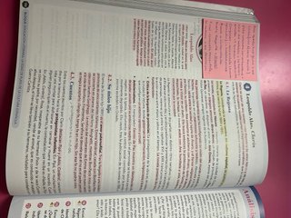 Lengua castellana y literatura II. Libro del es...