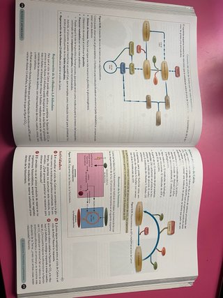 Biología 2º Bachillerato. Libro del estudiante....