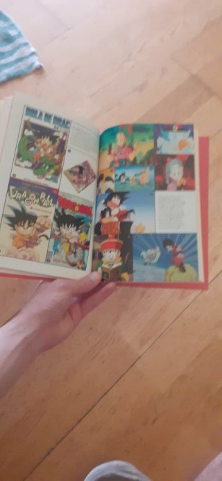 Manga Aniversario Dragon Ball
