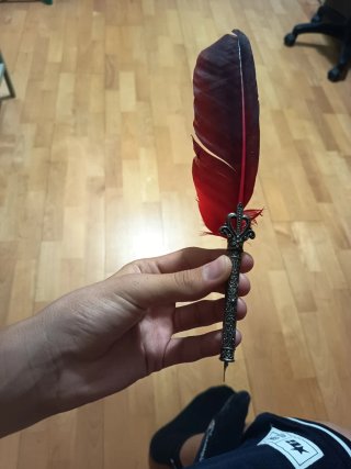 Set de pluma de escribir y tinta