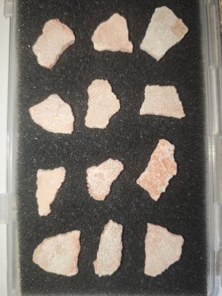 15 Cáscaras Fósiles Titanosaurio Megalolithus