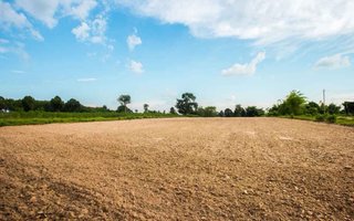 Terreno rústico listo para cultivo