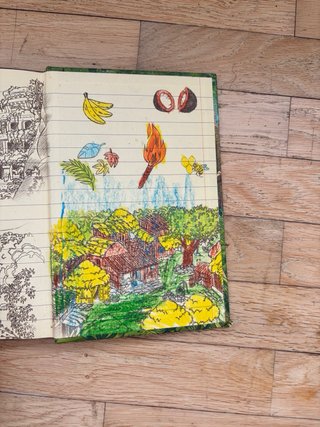 El libro de la selva - Geronimo Stilton