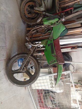 Cuadro Rieju RV 50 con papeles