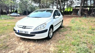 Peugeot 307 2000