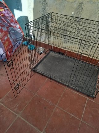 Jaula grande para perro