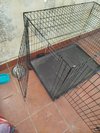 Jaula grande para perro