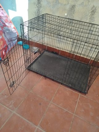 Jaula grande para perro