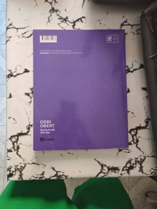 Llengua Catalana i Literatura 2 eso