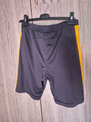 Pantalón corto deportivo The North Face