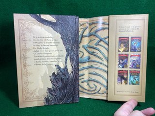 El reino perdido Crónicas del Reino de la Fantasía