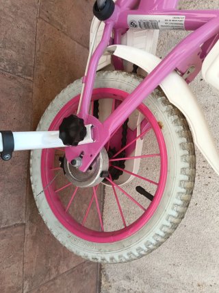 Bicicleta Patrulla Canina Skye