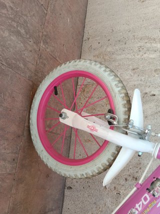 Bicicleta Patrulla Canina Skye