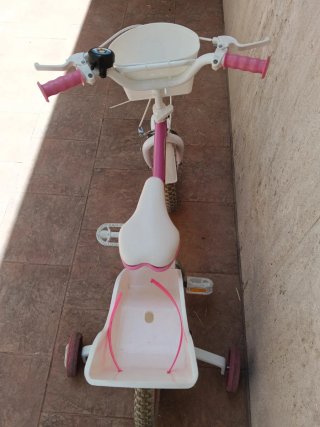 Bicicleta Patrulla Canina Skye