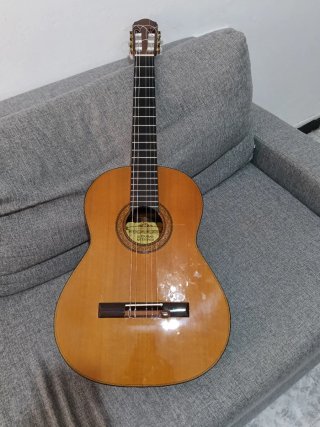 Guitarra Maciza Palo Santo India
