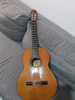 Guitarra Maciza Palo Santo India