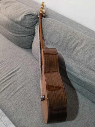 Guitarra Maciza Palo Santo India