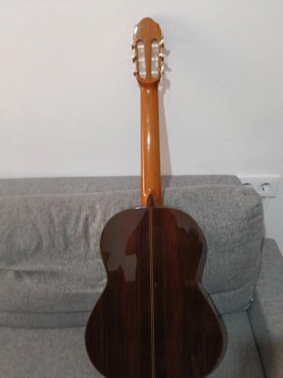 Guitarra Maciza Palo Santo India