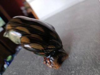 Búho de cerámica artesanal sobre roca