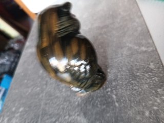 Búho de cerámica artesanal sobre roca