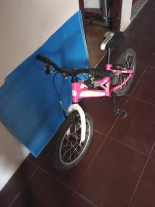 Bicicleta infantil Rueda 16 Rosa