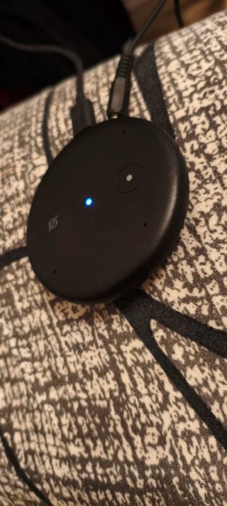 Amazon Echo input Alexa