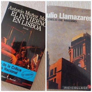 Lote de novelas en castellano, varios autores