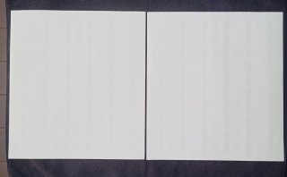 Italia 2016 2 fogli da 50 francobolli valore € 135