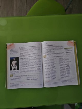 Lengua castellana y literatura, 1 Bachillerato