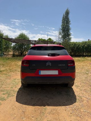Citroen C4 Cactus 2016