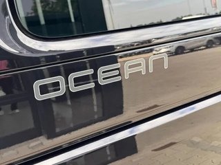 Volkswagen California Ocean DSG 2019 con 170.900km